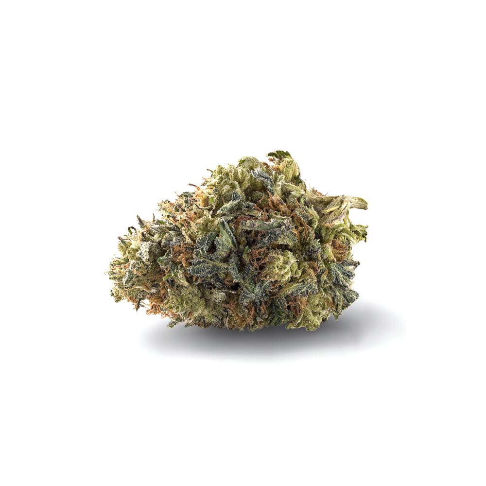 Shop Cannabis Rezept Cannabisblute Blute Blueberry Weed Bestellen Kaufen Shop