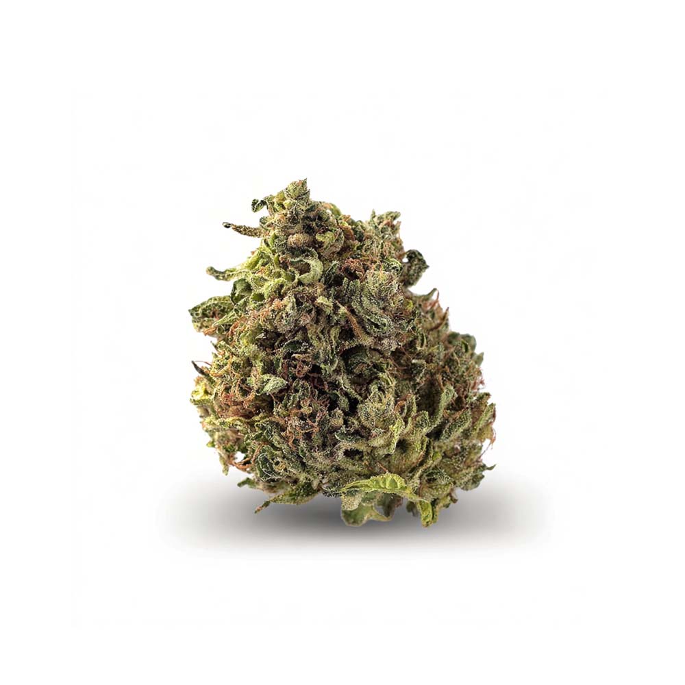 Shop Cannabis Rezept Cannabisblute Blute Northern Lights Weed Bestellen Kaufen Shop