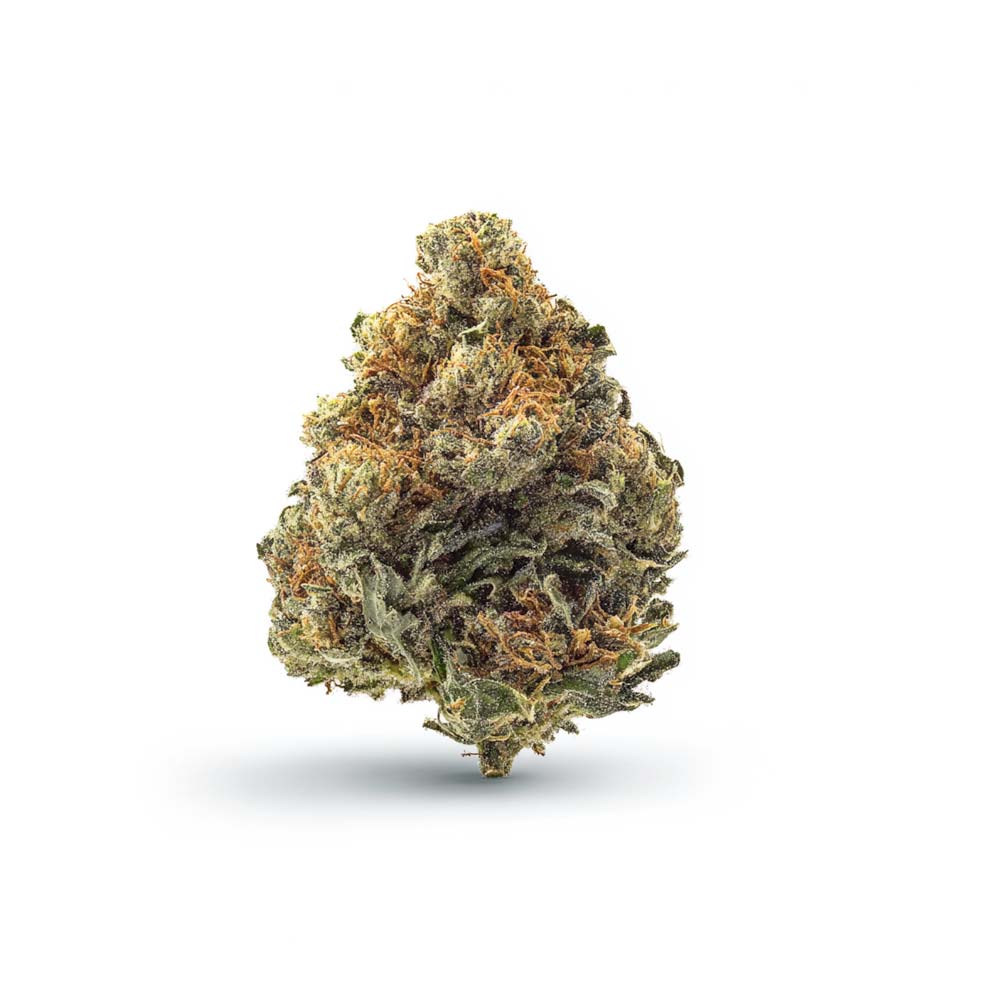 Shop Cannabis Rezept Cannabisblute Blute White Widow Weed Bestellen Kaufen Shop