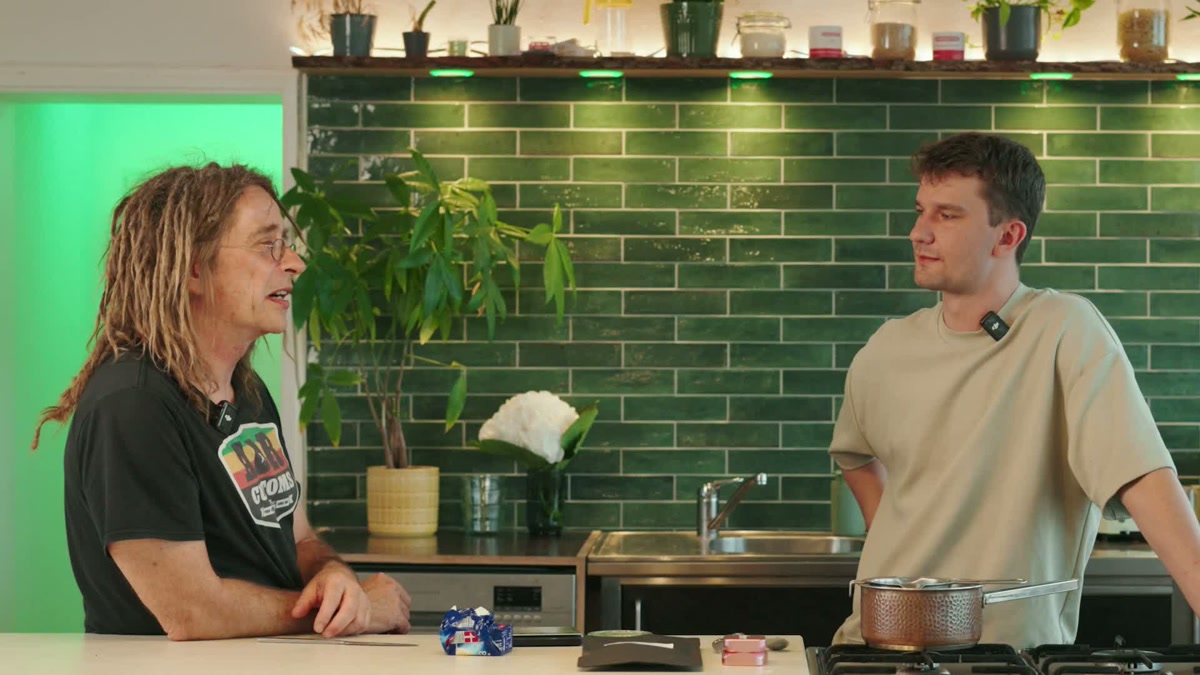 Jungle Cake: Sorte, Wirkung & THC Gehalt
